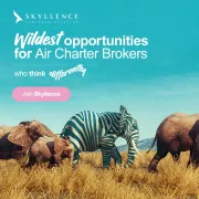 Skyllence,  Crafting Aerial Journeys, Worldwide logo
