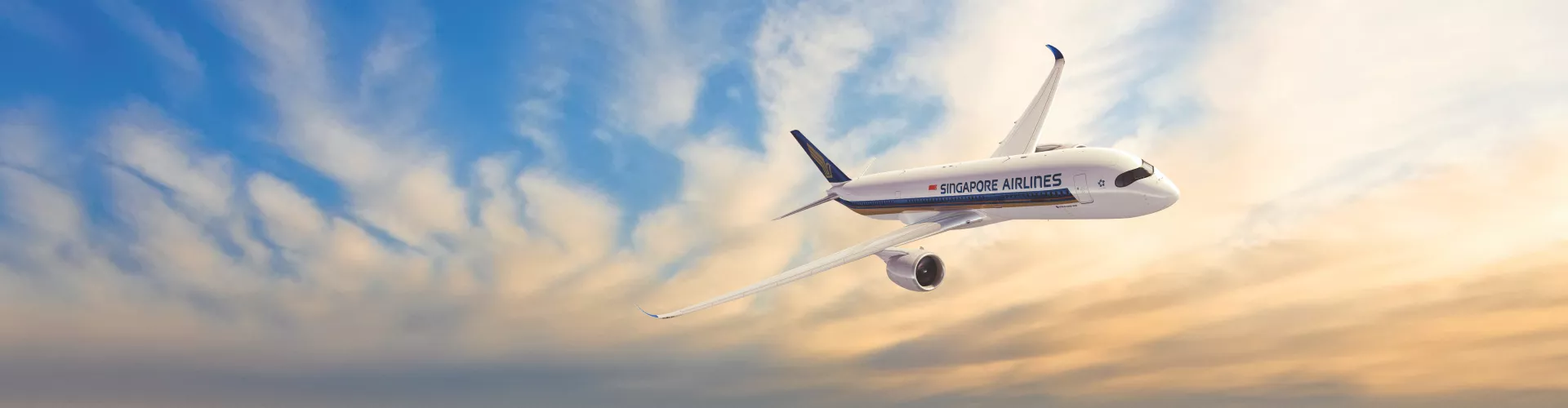 Singapore Airlines Limited cover